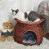 2 Tiers Handwoven Rattan Elevated Cat Bed with 2x Soft Cushion Raised Wicker Pet Basket Indoor - 4 of 4