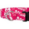 Country Brook Petz Deluxe Dog Collar - Summer Breeze Collection - Made in The U.S.A. - 4 of 4