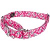 Country Brook Petz Martingale Dog Collar - Spring Collection - 2 of 4