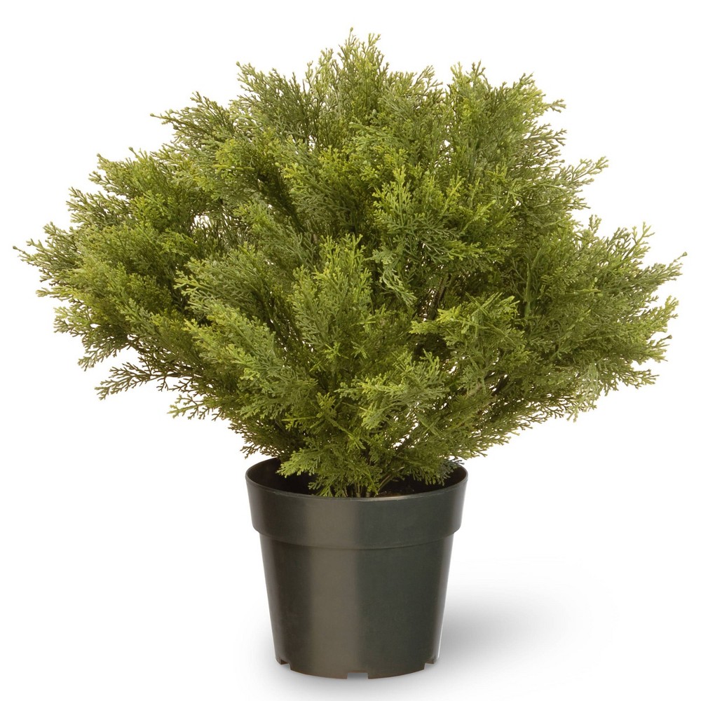 National Tree Company 28" Globe Juniper Artificial Tree: Faux Juniper in Pot, No Assembly, Indoor/Outdoor Use