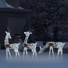 Aghana Digitals 106.3" White Cold White Mesh Reindeer Family with 8 Lighting Modes, USB-Powered for - 3 of 4
