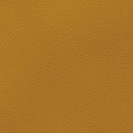 jacksonville jaguars