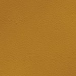 jacksonville jaguars