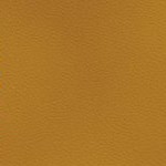 jacksonville jaguars