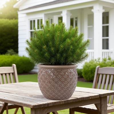 SpassWay 15" Dia Outdoor Indoor Ceramic Planter Pot Decorative Planter with Drainage Hole Patio Flower Pot