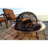 Good Directions 30" LG Spark Fireplace Screen with Lifter Steel - 4 of 4