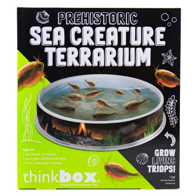 sea creature toy videos