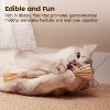 Potaroma 6 Pcs Natural Silvervine Sticks Cat Toys - 3 of 3