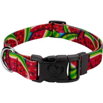 Country Brook Petz® Deluxe Summer Melon Dog Collar - Made in The U.S.A.