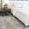 Nourison Concerto Abstract Contemporary Area Rug - 2 of 4