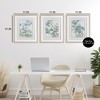 Stupell Industries Wild Blooms with Detailed Outlines 3pc Framed Print Under Glass Set - 3 of 4