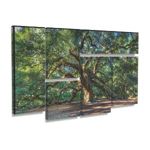 Trademark Fine Art - Pierre Leclerc 'Angel Oak Charleston' - 1 of 3