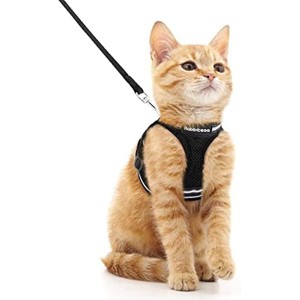 rabbitgoo Cat Harness and Leash Set for Walking Escape Proof, Adjustable Soft Kittens Vest with Reflective Outdoor Vest, Black, M - 1 of 1
