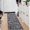 Acekool Modern Washable Area Rug, Soft Non Slip Minimalist Low Pile Carpet for Living Room, Bedroom, Dorm - 2 of 4