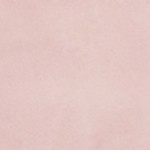 white/grey/nude/black/blushing rose