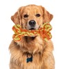 Unique Bargains Bone Shape Dog Chew Rope Orange Yellow 1 Pc - 4 of 4
