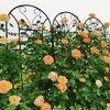 MAYEERTY 2 Pack Metal Garden Trellis 86.7 x 19.7 Inch Rustproof Climbing Plants Support Peacock Style Black Outdoor Flower - 4 of 4