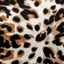 neutral shadow cheetah