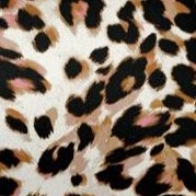 neutral shadow cheetah