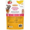 Sunseed Banana and Strawberry Small Animal Treat - 0.7 oz - 3 of 3