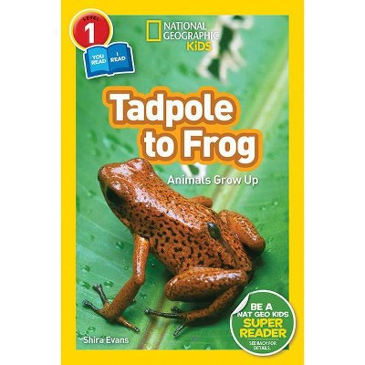 National Geographic Readers: Tadpole to Frog (L1/Co-Reader) - by  Shira Evans (Paperback)