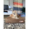 Barker Junior 4" Orthopedic Dog Bed - 2 of 4