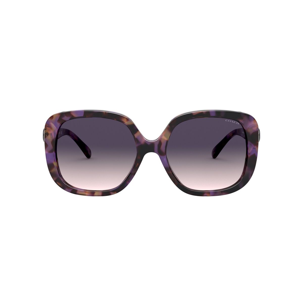 Coach HC8292 56mm Female Square Sunglasses - thumbnail 8