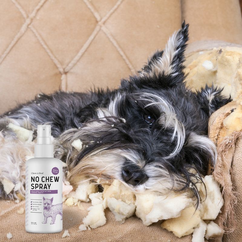 Chew + Heal No Chew Spray, Dog Behavioral Aid, Alcohol-Free, Prevents Dog From Chewing Furniture & Couches - 8oz. Bottle, 4 of 7