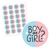 Big Dot of Happiness Baby Gender Reveal - Team Boy or Girl Party Circle Sticker Labels - 24 Count - 2 of 4