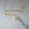 Black Foldable Rotating Wall-mounted Dual-handle Faucet - 3 of 4