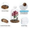 Unique Bargains Wooden Base Home Tabletop Decor Glass Bell Jar Display Cases - 3 of 4