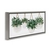 Stupell Industries Hanging Planters House Plants Floating Frame Canvas Art, Gray, 25" x 11" - 2 of 4