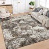 Abstract Area Rugs for Living Room Bedroom, Soft Large Washable Rugs - 2 of 4