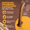 WhiteTail Naturals Deer Antlers for Dogs – 1 lb Bulk Pack – Durable, Naturally Shed Chew Bones for Aggressive Chewers & Dental Health - 3 of 4