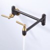 WOWOW Wall Mounted Pot Filler with Double Handle in Brushed Nickel - 2 of 4