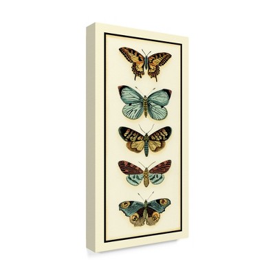 Trademark Fine Art -Chariklia Zarris 'Butterfly Collector Vi' Canvas Art