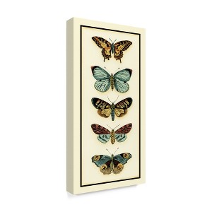 Trademark Fine Art -Chariklia Zarris 'Butterfly Collector Vi' Canvas Art - 1 of 4