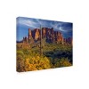 Trademark Fine Art -Mike Jones Photo 'Lost Dutchman flowers' Canvas Art - 4 of 4