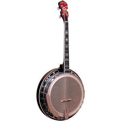 Gold Tone IT-250F 4-String Irish Tenor Resonator Banjo