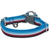 Blueberry Pet Stripe Adjustable Dog Collar - 2 of 4