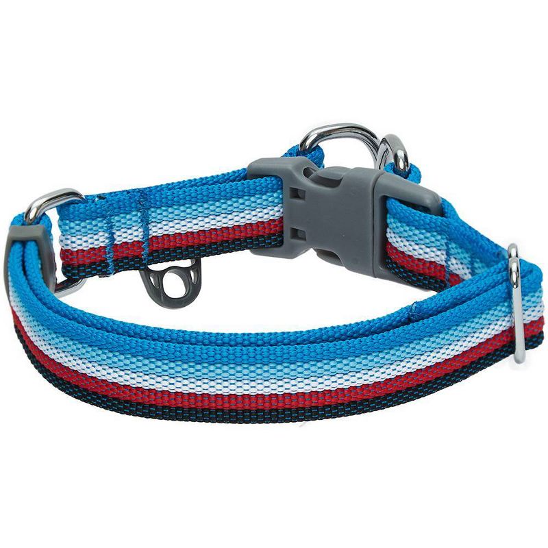 Blueberry Pet Stripe Adjustable Dog Collar, 2 of 6