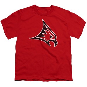 University Of Wisconsin River Falls Distressed Primary Logo Kids T-Shirt For Youth Red - 1 of 4