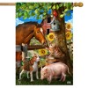 Briarwood Lane Summer House Flag 40x28 For Outdoor Making Friends For Summer House Flag - 2 of 4