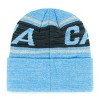 NFL Carolina Panthers Bitter Knit Beanie - image 2 of 2