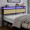 DOMETOUR Iron Full&Queen Platform Bed Frame Black - 4 of 4