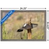 Trends International The Comedy Wildlife Photography Awards: Wendy Kaveney - That Wasn't Here Yesterday Framed Wall Poster Prints - 3 of 4