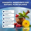 Water Away Capsules, Premium Water Loss Pills Diuretic Pure Dietary Supplement, Phytoral, 60 or 90ct - 4 of 4