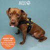 Joyride Harness Premium Advanced No Pull Dog Harness 2.0 Sunshine Yellow - 2 of 4