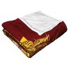 Warner Bros. DC Comics Shazam Billy Batson Silk Touch Throw Blanket 50x60 Inches - 4 of 4