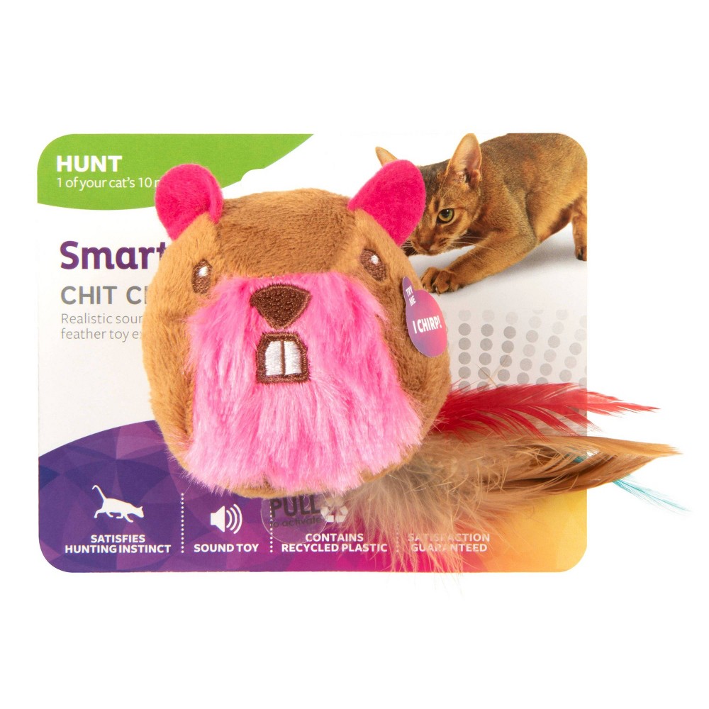 SmartyKat Chit Chatter Electronic Sound Cat Toy